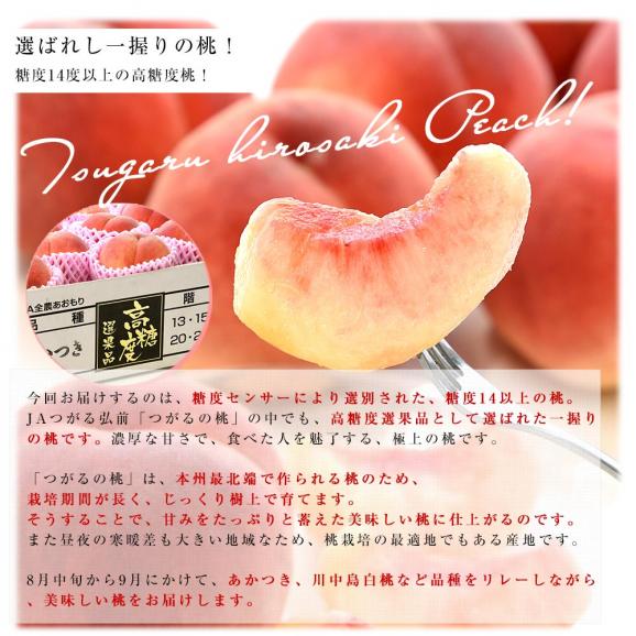 青森県産 JAつがる弘前 高糖度選果品 つがるの桃 約1.8キロ（5玉から7玉）送料無料 もも モモ 桃04