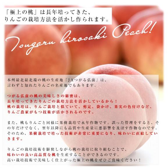 青森県産 JAつがる弘前 高糖度選果品 つがるの桃 約1.8キロ（5玉から7玉）送料無料 もも モモ 桃05