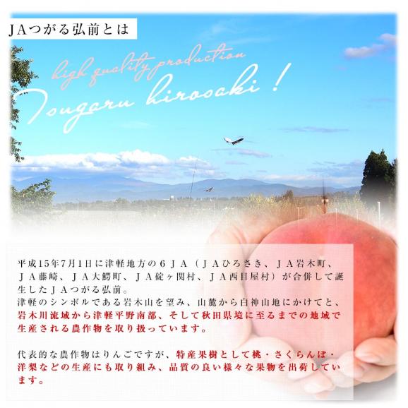 青森県産 JAつがる弘前 高糖度選果品 つがるの桃 約1.8キロ（5玉から7玉）送料無料 もも モモ 桃06