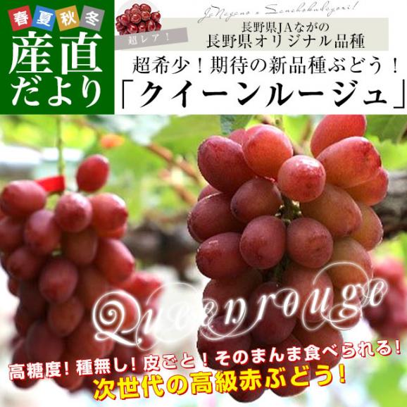 長野県 JAながの 新品種ぶどう クイーンルージュ 約1キロ(2房) 送料無料 ぶどう ブドウ 葡萄 赤ブドウ02