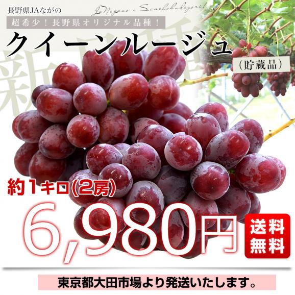 長野県 JAながの 新品種ぶどう クイーンルージュ (貯蔵品) 約1キロ(2房) 送料無料 ぶどう ブドウ 葡萄 赤ブドウ03