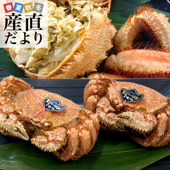 浜ゆで毛がに 500g×2尾（毛がに：北海道宗谷産・ボイル冷凍