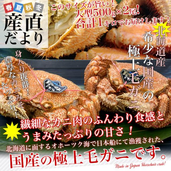 【期間限定価格】北海道より直送 北海道産 浜ゆで毛ガニ 1キロ（大型500g×2尾入）送料無料 カニ かに 毛蟹02