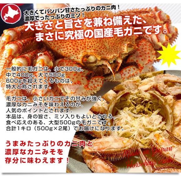 北海道産 浜茹で毛蟹 約500g×3尾(a009-09)｜ありがとねっと