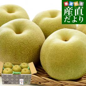 長野県 JAみなみ信州 糖度13度以上「梨」(等級：優糖生) 約2キロ(5玉から6玉) 送料無料 なし ナシ 幸水 豊水