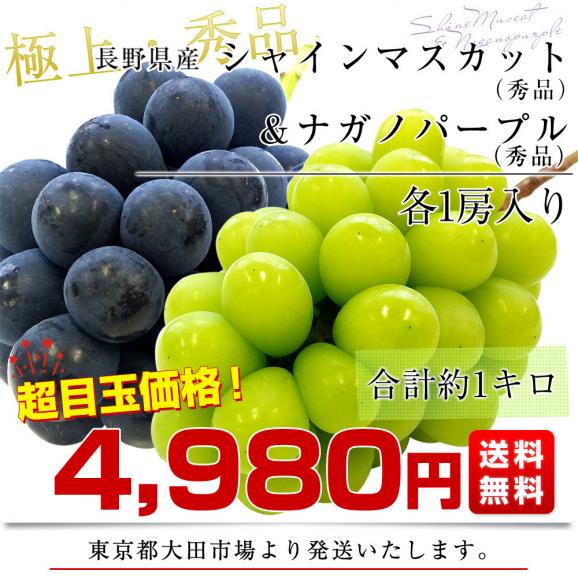 長野県産 シャインマスカット（秀品）＆ ナガノパープル（秀品） 各1房 合計約1キロ 送料無料 ぶどう 葡萄 ぶどうセット03