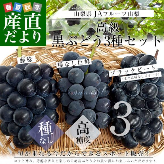 山梨県産 黒ぶどう3種セット 約1.5キロ (ブラックビート（または種無しピオーネ）、種なし巨峰、藤稔×各1房) 送料無料 ぶどう 葡萄 ぶどうセット02