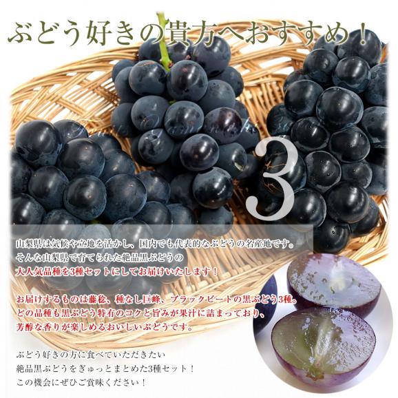 山梨県産 黒ぶどう3種セット 約1.5キロ (ブラックビート（または種無しピオーネ）、種なし巨峰、藤稔×各1房) 送料無料 ぶどう 葡萄 ぶどうセット04