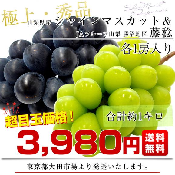山梨県産 シャインマスカット＆藤稔 合計約1キロ(各1房入り) 送料無料 ぶどう ブドウ 葡萄 ぶどうセット03