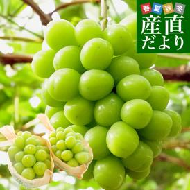 ご家庭でたっぷり楽しんでいただくためのボリューム企画!