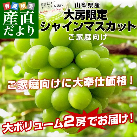 山梨県産 大房シャインマスカット ご家庭向け・赤秀品 1.1キロから1.2