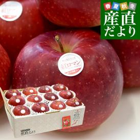 岩手県産 JA全農いわて 岩手県オリジナル品種 紅ロマン 特以上 約2.8キロ (9玉から13玉) 送料無料 林檎 りんご リンゴ