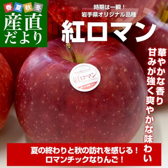 岩手県産 JA全農いわて 岩手県オリジナル品種 紅ロマン 特以上 約2.8キロ (9玉から13玉) 送料無料 林檎 りんご リンゴ02
