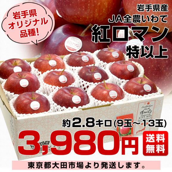 岩手県産 JA全農いわて 岩手県オリジナル品種 紅ロマン 特以上 約2.8キロ (9玉から13玉) 送料無料 林檎 りんご リンゴ03