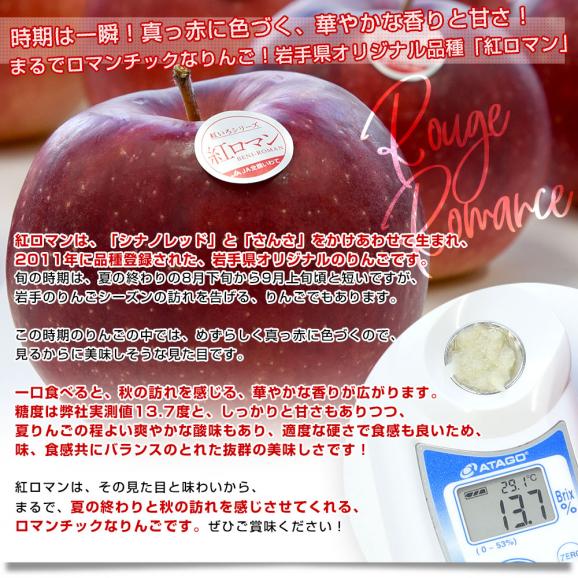 岩手県産 JA全農いわて 岩手県オリジナル品種 紅ロマン 特以上 約2.8キロ (9玉から13玉) 送料無料 林檎 りんご リンゴ04