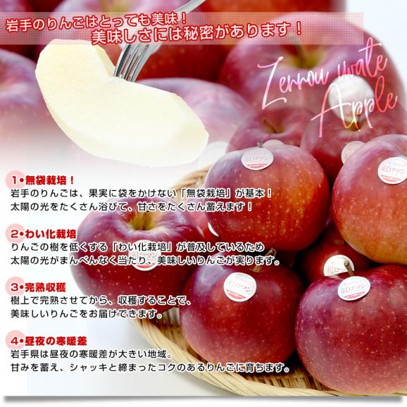 岩手県産 JA全農いわて 岩手県オリジナル品種 紅ロマン 特以上 約2.8キロ (9玉から13玉) 送料無料 林檎 りんご リンゴ05