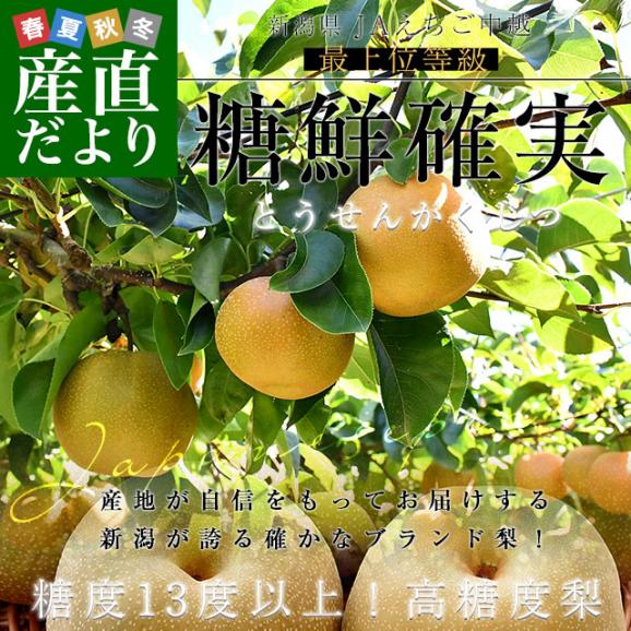 新潟県産 JAえちご中越 糖度13度以上 高糖度梨 最上位等級 「糖鮮確実 (とうせんかくじつ)」 約2キロ (5玉から6玉) 送料無料 なし ナシ02