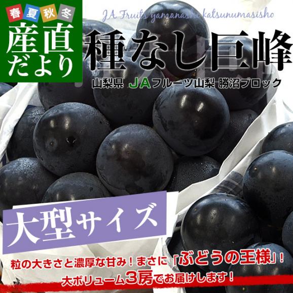 山梨県産 JAフルーツ山梨 勝沼ブロック 種なし巨峰 約1.5キロ (3房入り) 送料無料 葡萄 ぶどう 黒ぶどう ※クール便02