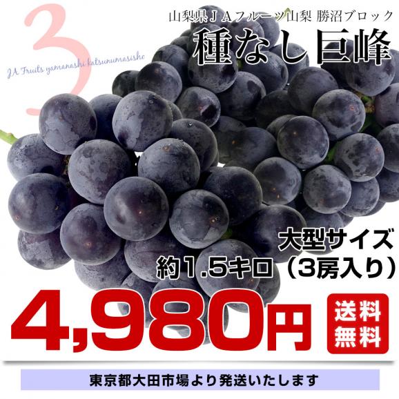 山梨県産 JAフルーツ山梨 勝沼ブロック 種なし巨峰 約1.5キロ (3房入り) 送料無料 葡萄 ぶどう 黒ぶどう ※クール便03