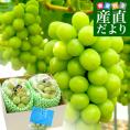 岡山県産 JA晴れの国岡山 シャインマスカット 晴王 青秀 約1.2キロ(600g×2房) 葡萄 ぶどう ブドウ 送料無料  クール便