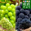 岡山県産 JA晴れの国岡山 シャインマスカット「晴王」＆ニューピオーネ「美王(R)」合計約1.2キロ(各1房) 送料無料 ぶどうセット 葡萄 