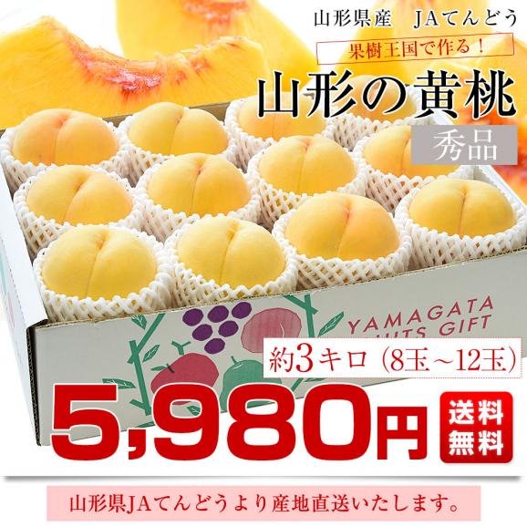 山形県から産地直送 JAてんどう 山形の黄桃 秀品 約3キロ (8玉から12玉) 送料無料 桃 モモ もも03