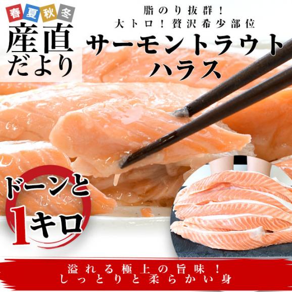 サーモントラウト ハラス(希少な腹身の部位) チリ産 1キロ 送料無料 鮭 シャケ サケ サーモン シーフード ※クール冷凍便02