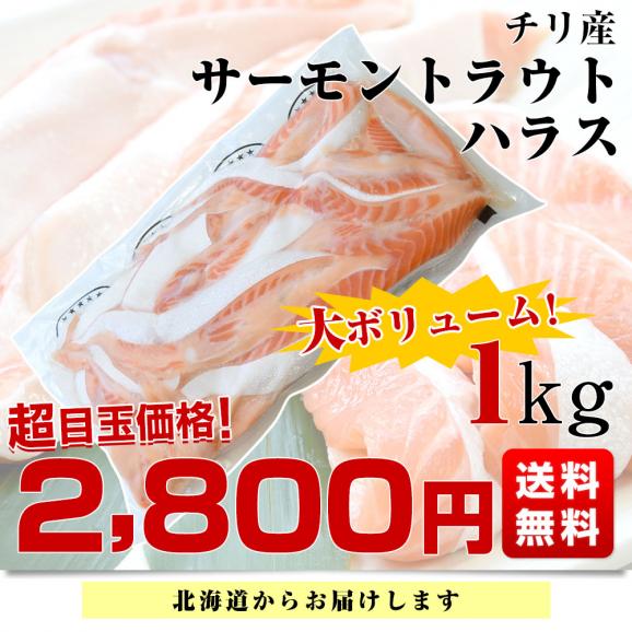 サーモントラウト ハラス(希少な腹身の部位) チリ産 1キロ 送料無料 鮭 シャケ サケ サーモン シーフード ※クール冷凍便03