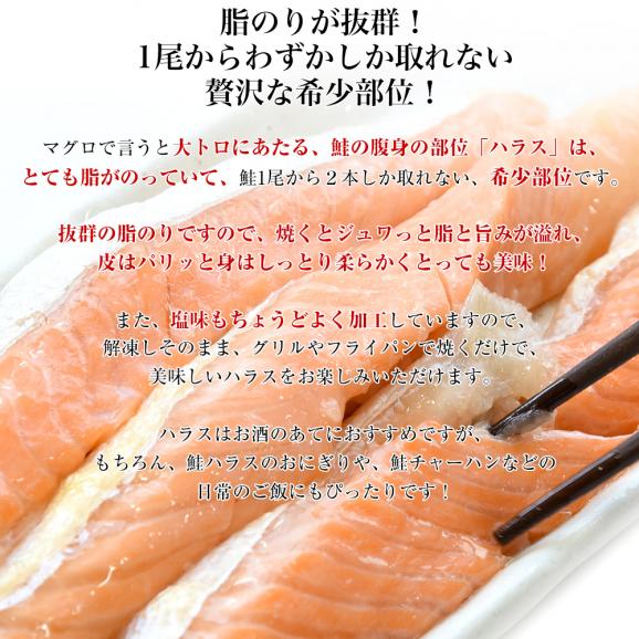 サーモントラウト ハラス(希少な腹身の部位) チリ産 1キロ 送料無料 鮭 シャケ サケ サーモン シーフード ※クール冷凍便04
