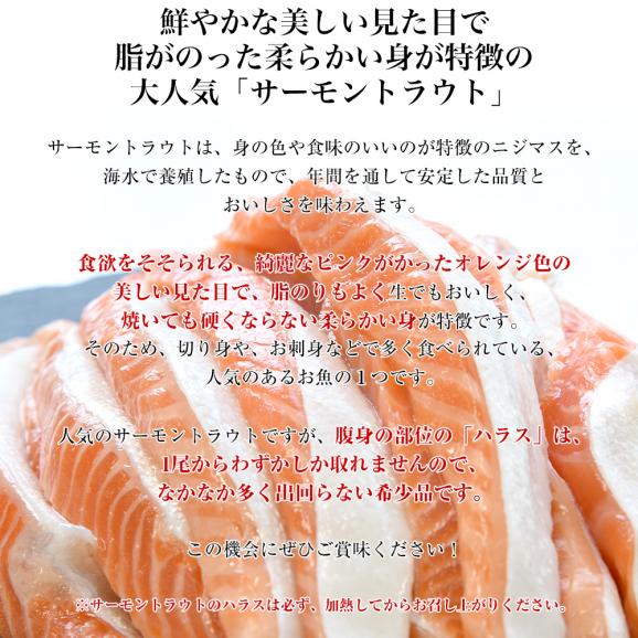 サーモントラウト ハラス(希少な腹身の部位) チリ産 1キロ 送料無料 鮭 シャケ サケ サーモン シーフード ※クール冷凍便05