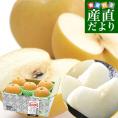 長野県 JAみなみ信州 高糖度梨 糖度14度以上 南水 （最高等級：太鼓判） 約2キロ （5玉から6玉） 送料無料 梨 なし ナシ