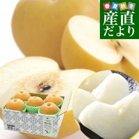 長野県 JAみなみ信州 高糖度梨 糖度14度以上 南水 (最高等級：太鼓判) 約2キロ (5玉から6玉) 送料無料 梨 なし ナシ