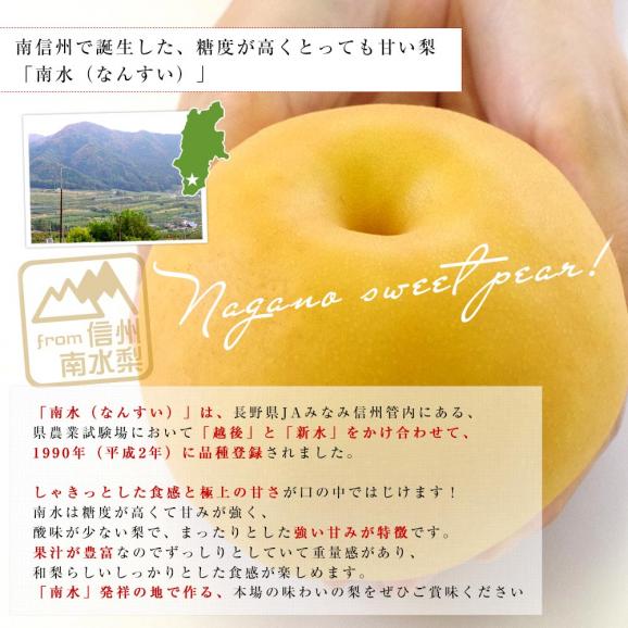 長野県 JAみなみ信州 高糖度梨 糖度14度以上 南水 （最高等級：太鼓判） 約2キロ （5玉から6玉） 送料無料 梨 なし ナシ04