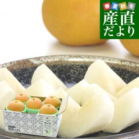 味にこだわった！本場の美味！糖度14度以上の「南水」を厳選