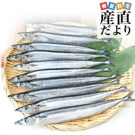 北海道産 汐さんま 10尾 合計約1.1キロ(1尾あたり約110g) 送料無料 秋刀魚 さんま サンマ 魚介
