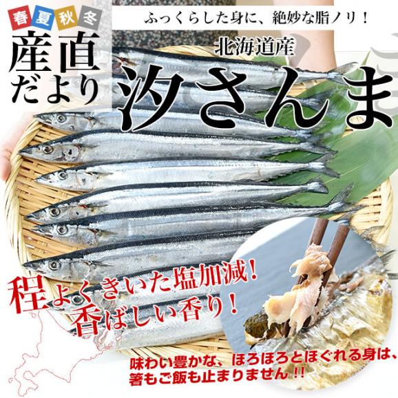北海道産 汐さんま 10尾 合計約1.1キロ(1尾あたり約110g) 送料無料 秋刀魚 さんま サンマ 魚介02