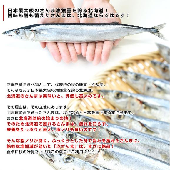 北海道産 汐さんま 10尾 合計約1.1キロ(1尾あたり約110g) 送料無料 秋刀魚 さんま サンマ 魚介05