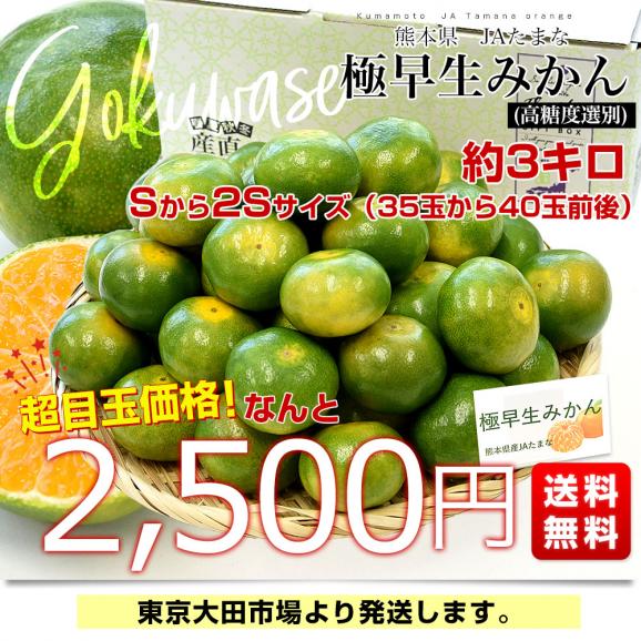 熊本県 JAたまな 極早生みかん (高糖度選別) 約3キロ Sから2Sサイズ（35玉から40玉前後） 蜜柑 ミカン 送料無料03