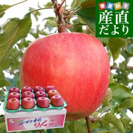青森県より産地直送 JAつがる弘前 弘前ふじ 約3キロ (9玉から13玉) 送料無料 りんご リンゴ 林檎