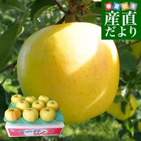 青森県より産地直送 JAつがる弘前 トキ 約3キロ (9玉から13玉) 送料無料 りんご リンゴ 林檎