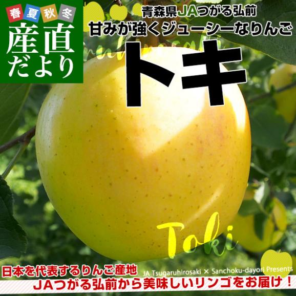 青森県より産地直送 JAつがる弘前 トキ 約3キロ (9玉から13玉) 送料無料 りんご リンゴ 林檎02