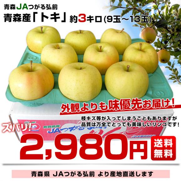 青森県より産地直送 JAつがる弘前 トキ 約3キロ (9玉から13玉) 送料無料 りんご リンゴ 林檎03