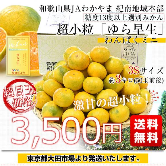 和歌山県 JAわかやま 紀南地域本部 糖度13度以上厳選みかん 超小粒「ゆら早生」3Sサイズ 約3キロ(50玉前後) 送料無料 みかん 蜜柑 柑橘 小玉みかん03