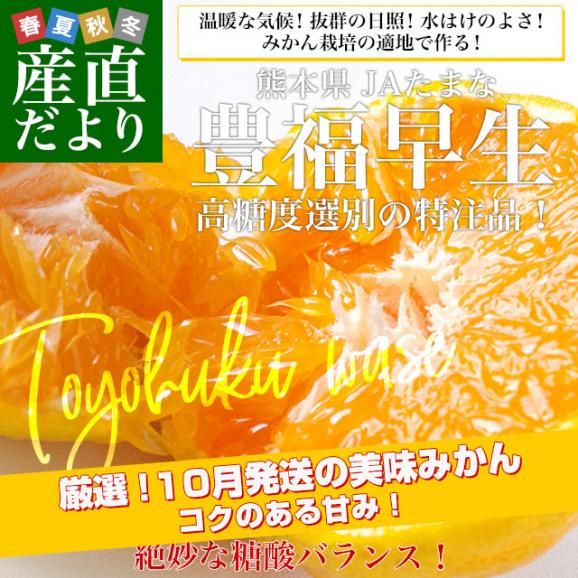 熊本県 JAたまな みかん 豊福早生（高糖度選別） 約4キロ SからMサイズ（40玉から50玉前後） 蜜柑 みかん ミカン 送料無料02