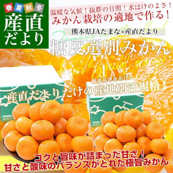 熊本県 JAたまな 糖度選別みかん 約2キロ×2箱 MからSSサイズ (合計40玉から60玉前後) 送料無料 蜜柑 みかん ミカン02