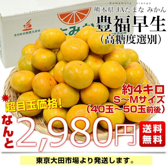 熊本県 JAたまな みかん 豊福早生（高糖度選別） 約4キロ SからMサイズ（40玉から50玉前後） 蜜柑 みかん ミカン 送料無料03