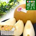 新潟県産 JAえちご中越 糖度13度以上 超大玉梨 新高 「最上位等級：糖鮮確実 (とうせんかくじつ)」 大玉 約2キロ (4玉) 送料無料 なし ナシ