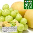 長野県 「シャインマスカット」 1房(約500g)＆栃木県 「にっこり梨」 2玉(約1キロ) セット 送料無料 ぶどう なし クール便