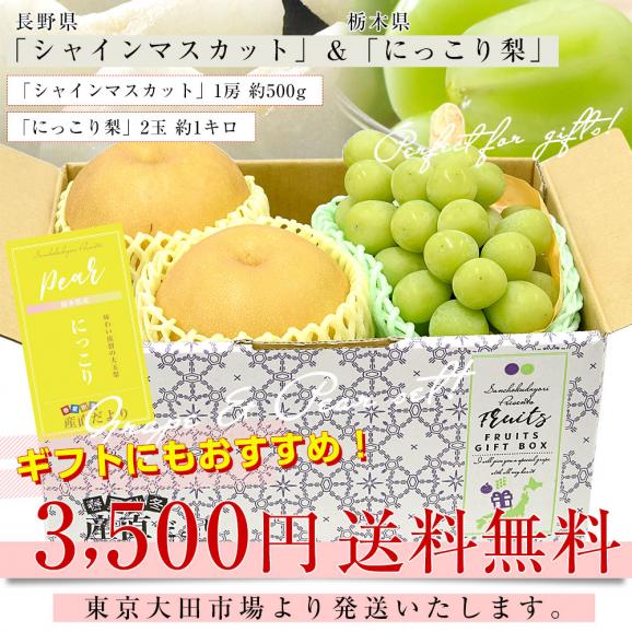 長野県 「シャインマスカット」 1房(約500g)＆栃木県 「にっこり梨」 2玉(約1キロ) セット 送料無料 ぶどう なし クール便03