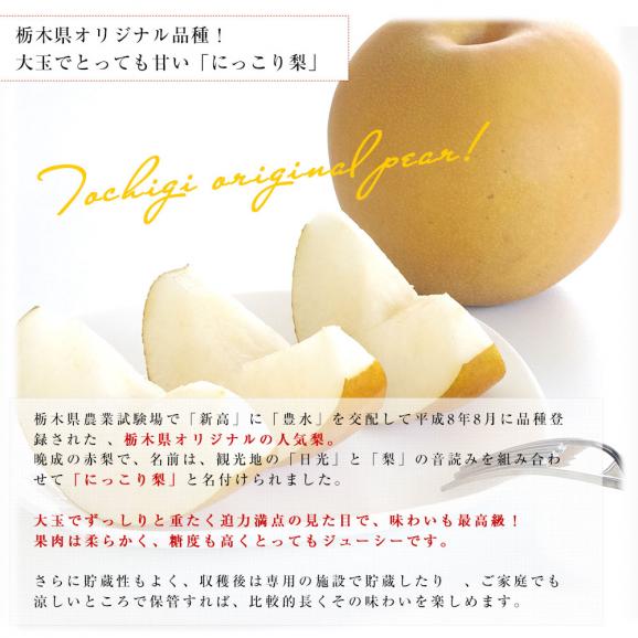 長野県 「シャインマスカット」 1房(約500g)＆栃木県 「にっこり梨」 2玉(約1キロ) セット 送料無料 ぶどう なし クール便06